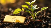 customized gold ira strategies