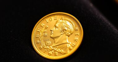 gold coin premiums explained