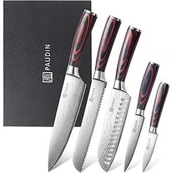 PAUDIN 5-Piece Chef Knife Set with Pakkawood Handles