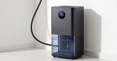 top 15 70 pint dehumidifiers