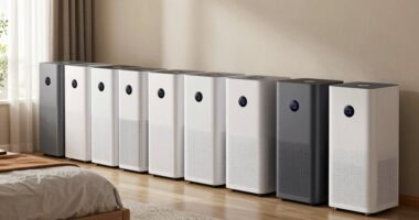 top 50 pint bedroom dehumidifiers