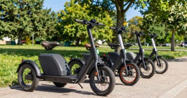 top adult electric trikes 2026
