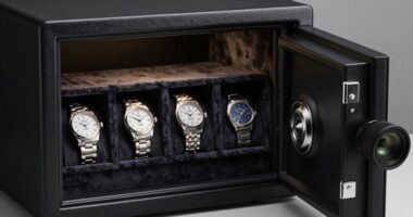 top collectible watch safes