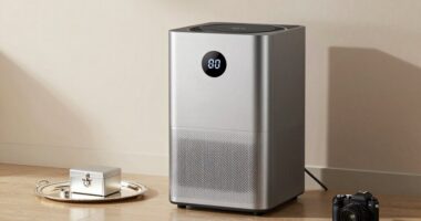 top dehumidifiers for silver