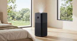 top hepa air purifiers