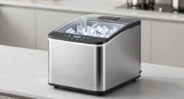 top high capacity ice makers