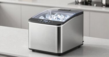 top high capacity ice makers