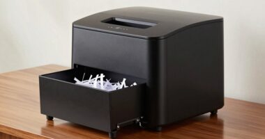 top shredder with pull out bin