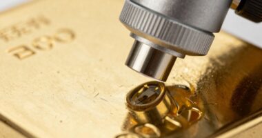 top usb microscopes 2026