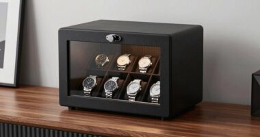 top watch storage safes