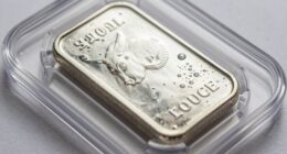 bullion moisture risk prevention