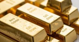 bullion ownership distinctions clarified