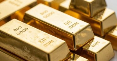 bullion ownership distinctions clarified
