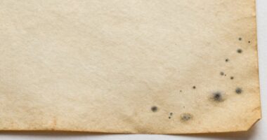 detecting early paper mold