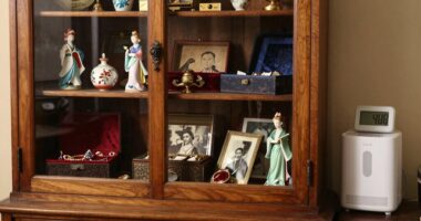 humidity control preserves heirlooms