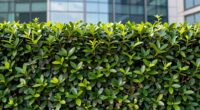 managing employer stock risk