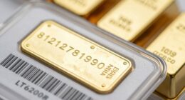 serial numbers reveal truth