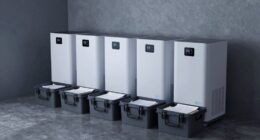 top basement dehumidifiers 2026