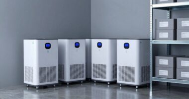 top basement dehumidifiers 2026