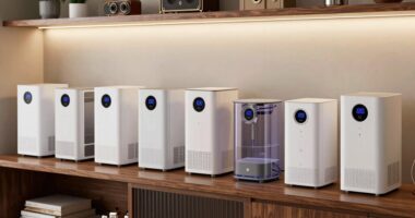 top dehumidifiers for enthusiasts