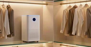 top dehumidifiers for valuables