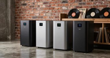 top energy star dehumidifiers